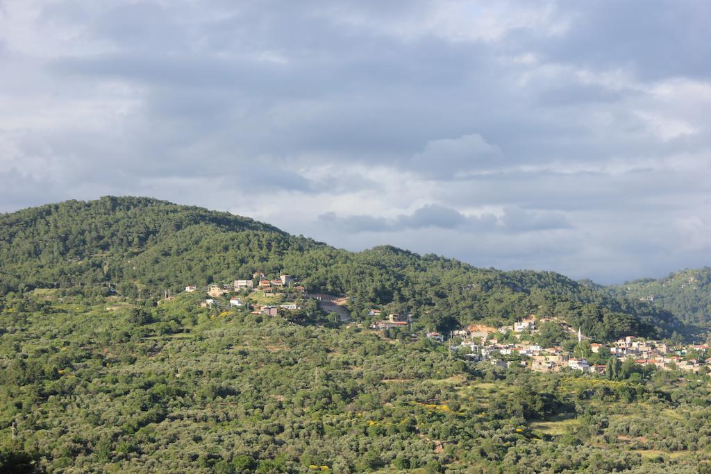 Отель Assos Kayalar Terrace Сазлы Экстерьер фото